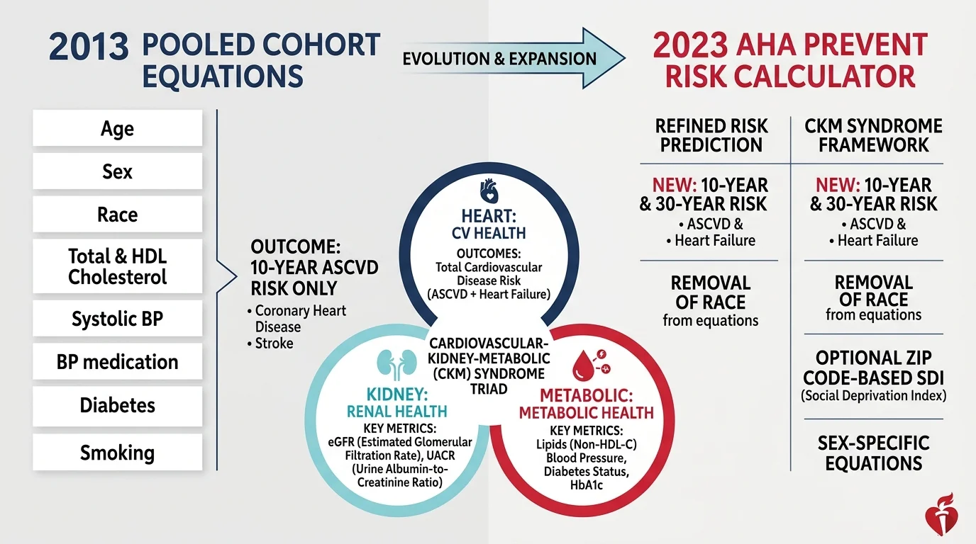 AHA PREVENT Calculator Cardiovascular-Kidney-Metabolic CKM Risk Infographic