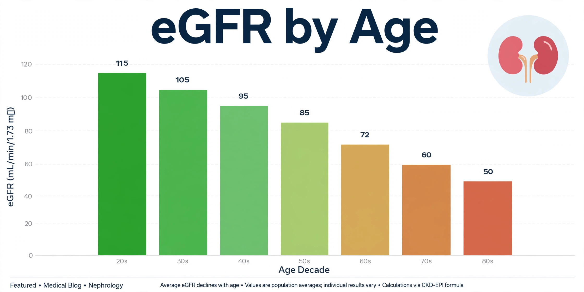 Chart showing normal eGFR ranges declining by age decade from the 20s through the 80s