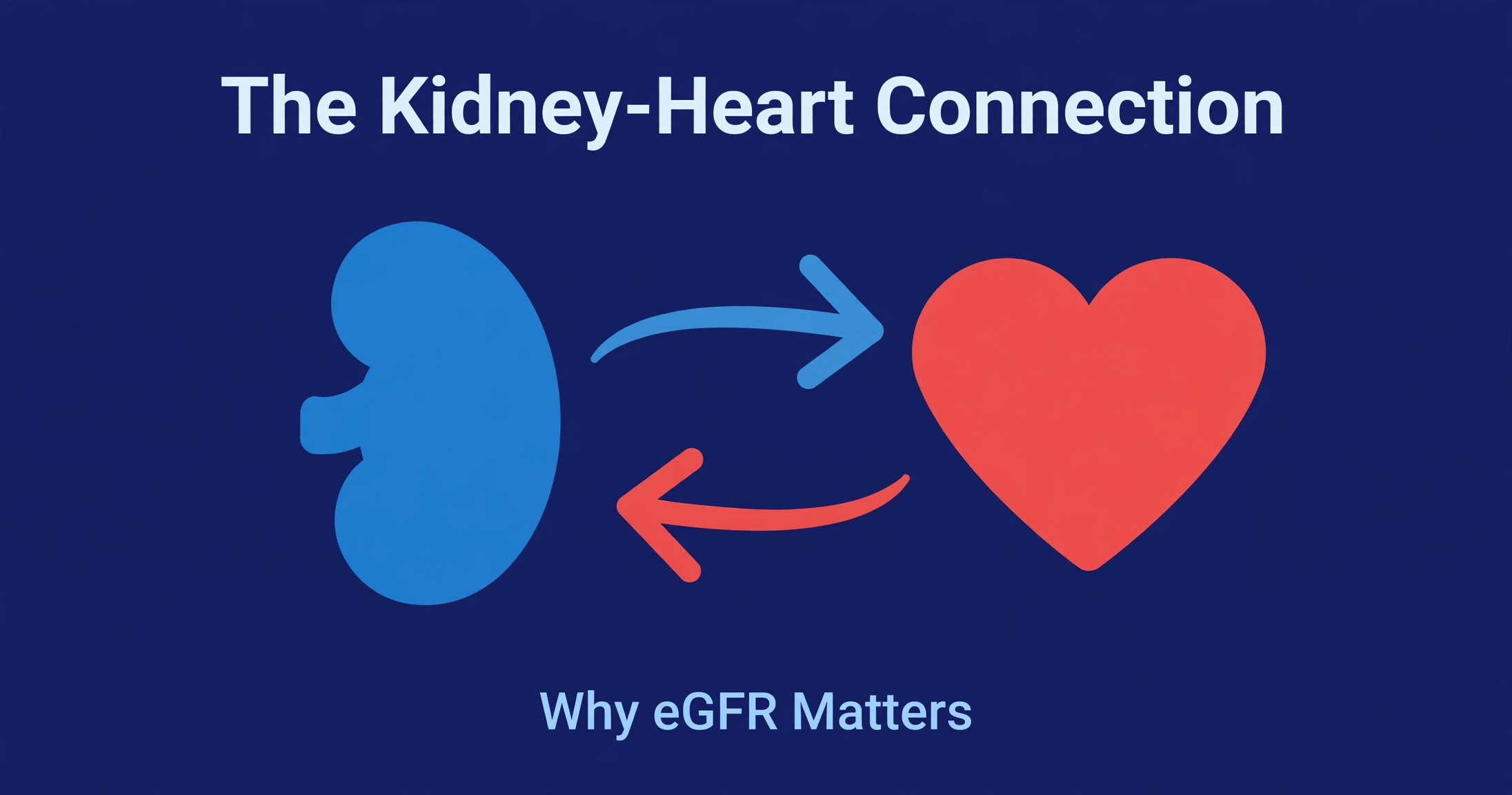 Illustration showing the connection between kidney function and heart health, with cardiovascular risk rising as eGFR falls