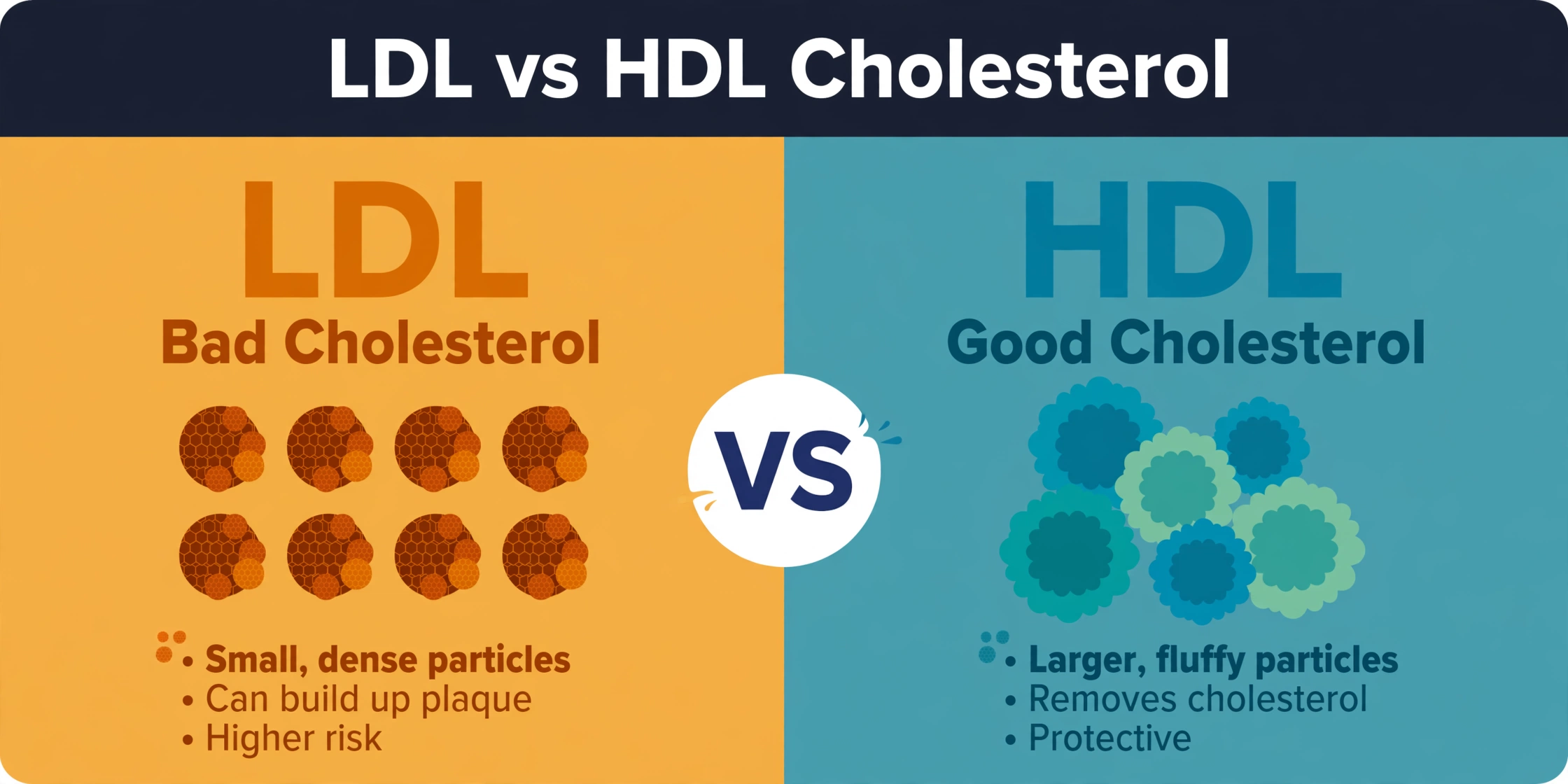 Side-by-side illustration of LDL and HDL cholesterol particles with guideline ranges and heart risk context