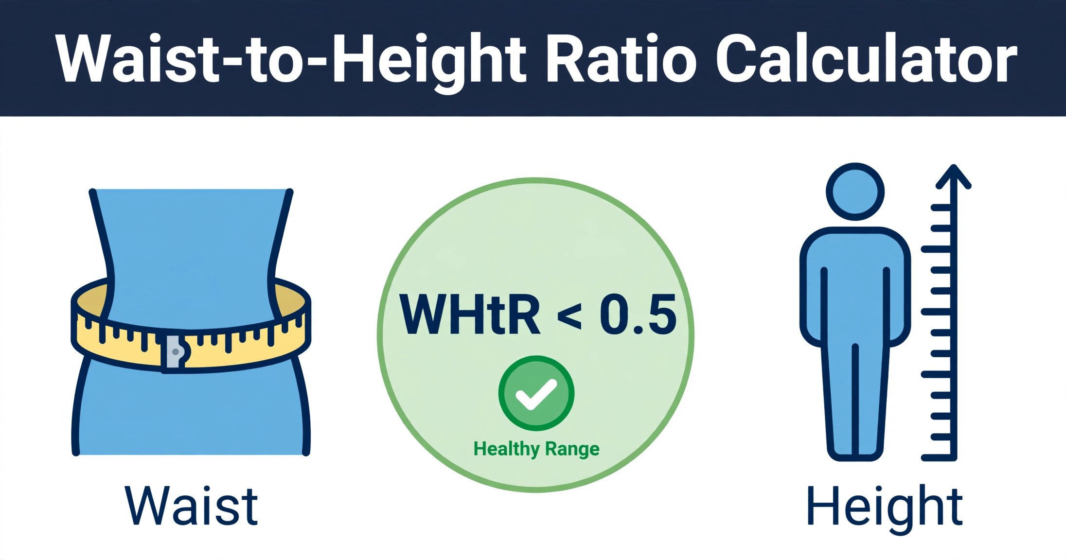 Diagram showing correct waist measurement landmark at the midpoint between the lowest rib and hip bone, and standing height measurement